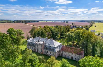 Château à vendre Minkowskie, Minkowskie  69, Voïvodie d'Opole, Image 5/43