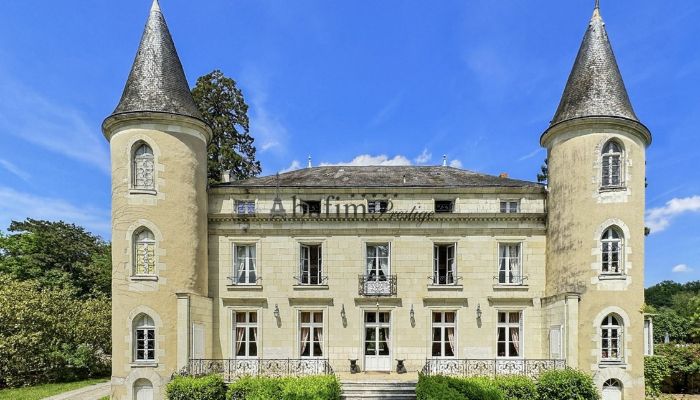 Château à vendre Centre-Val de Loire,  France