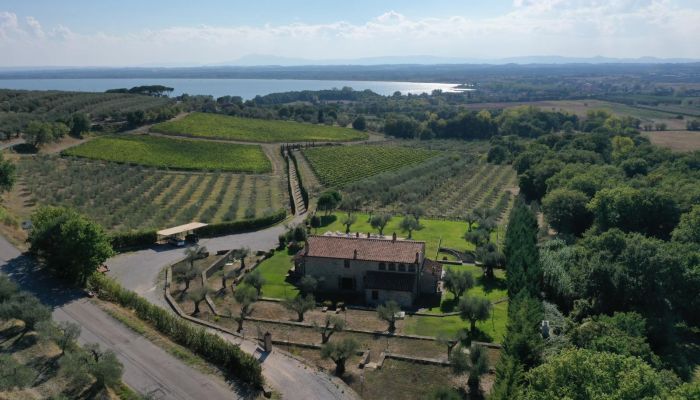 Ferme Tuoro sul Trasimeno 2