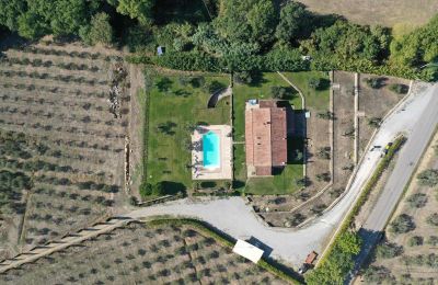 Ferme à vendre 06069 Tuoro sul Trasimeno, Ombrie, Image 3/23