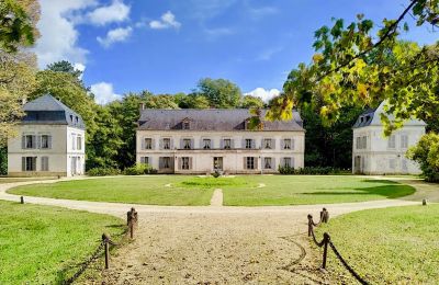 Propriétés, Superbe château dans l'Yonne, à 150 km au sud de Paris