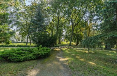 Château à vendre Mgowo, Cujavie-Poméranie, Terrain