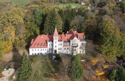 Château à vendre Grabiszyce Średnie, Basse-Silésie, Pałac Grabiszyce Średnie