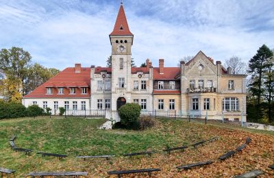 Château à vendre Grabiszyce Średnie, Basse-Silésie, Vue frontale