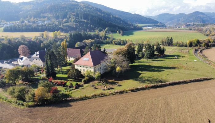 Manoir à vendre Kärnten,  Autriche