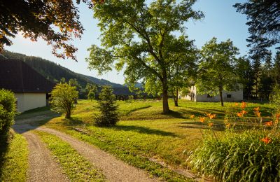 Manoir à vendre Kärnten, Terrain