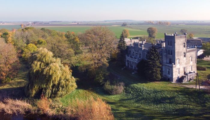 Kasteel Górki Dąbskie 2