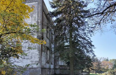 Château à vendre Górki Dąbskie, Pałac w Górkach Dąbskich, Cujavie-Poméranie, Image 13/22