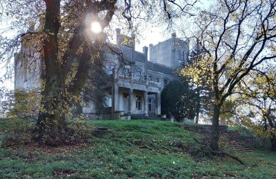 Château à vendre Górki Dąbskie, Pałac w Górkach Dąbskich, Cujavie-Poméranie, Image 14/22