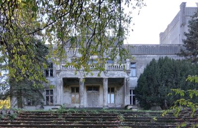 Château à vendre Górki Dąbskie, Pałac w Górkach Dąbskich, Cujavie-Poméranie, Image 17/22