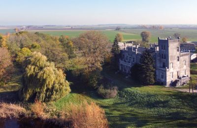 Château à vendre Górki Dąbskie, Pałac w Górkach Dąbskich, Cujavie-Poméranie, Situation du bien