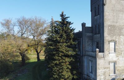 Kasteel te koop Górki Dąbskie, Pałac w Górkach Dąbskich, województwo kujawsko-pomorskie, Toren