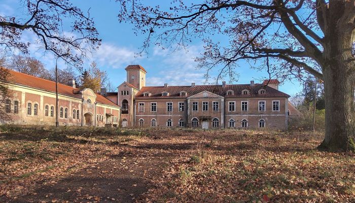 Château à vendre Dobrocin, Varmie-Mazurie,  Pologne