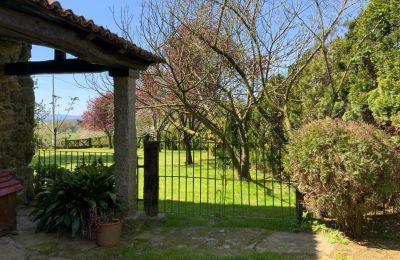 Boerderij te koop Melide, Cabazás, Galicië, Terraza y jardín