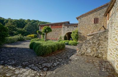 Maison de campagne à vendre Città di Castello, Ombrie, Image 17/49