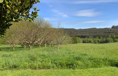 Boerderij te koop Moeche, Sta Cruz de Moeche, Galicië, Eigendom