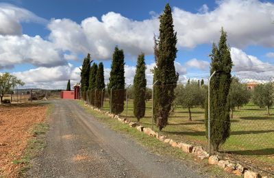 Boerderij te koop Almagro, Almagro, Castilla-La Mancha, Toegang