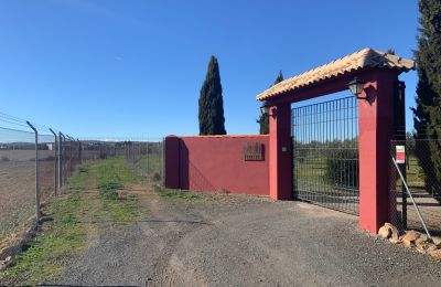 Boerderij te koop Almagro, Almagro, Castilla-La Mancha, Entrada