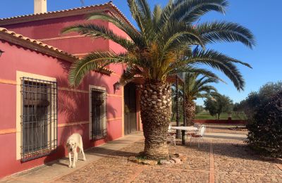 Boerderij te koop Almagro, Almagro, Castilla-La Mancha, Fachada