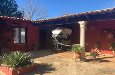 Boerderij te koop Almagro, Almagro, Castilla-La Mancha, Patio y carruaje