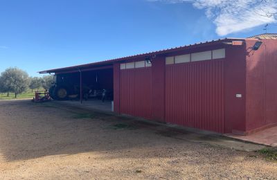 Boerderij te koop Almagro, Almagro, Castilla-La Mancha, Garaje