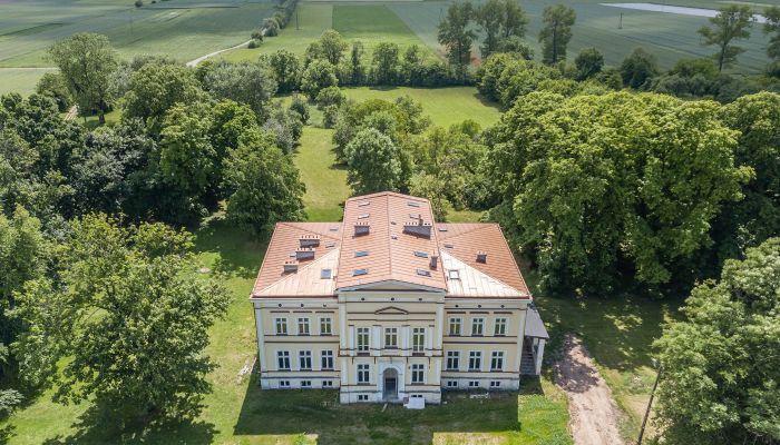 Château à vendre Karszew, Grande-Pologne,  Pologne