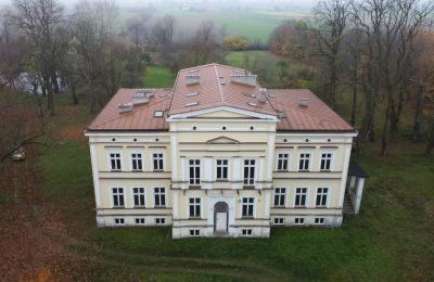 Château à vendre Karszew, Grande-Pologne, Image 6/19