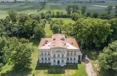 Château à vendre Karszew, Grande-Pologne, Situation du bien