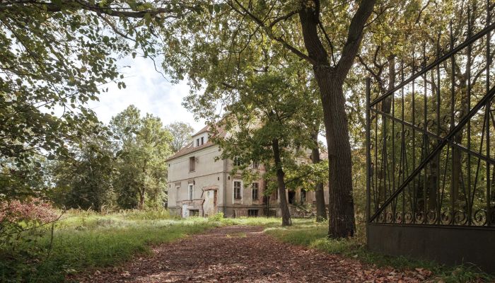 Kasteel Wilków 3