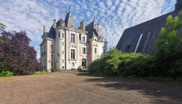 Kasteel te koop Le Mans, Pays de la Loire,  Frankrijk