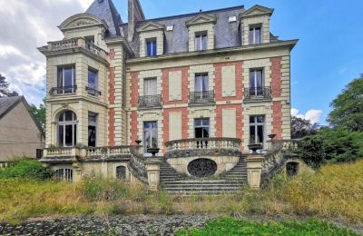 Kasteel te koop Le Mans, Pays de la Loire, Achteraanzicht