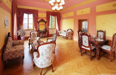 Château à vendre République tchèque, Salon