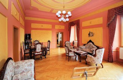 Château à vendre République tchèque, Salon