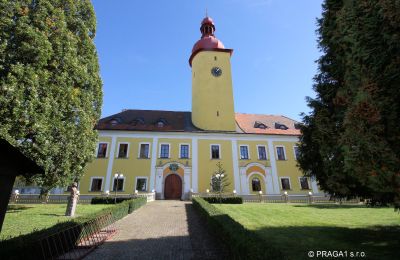 Château à vendre République tchèque, Vue de l'arrière