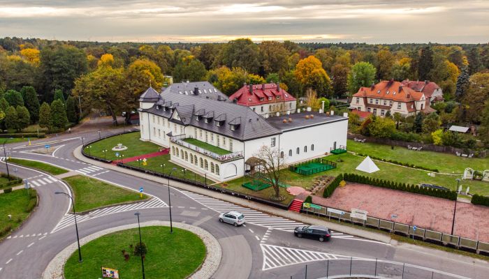 Château à vendre Krupski Młyn, Silésie,  Pologne