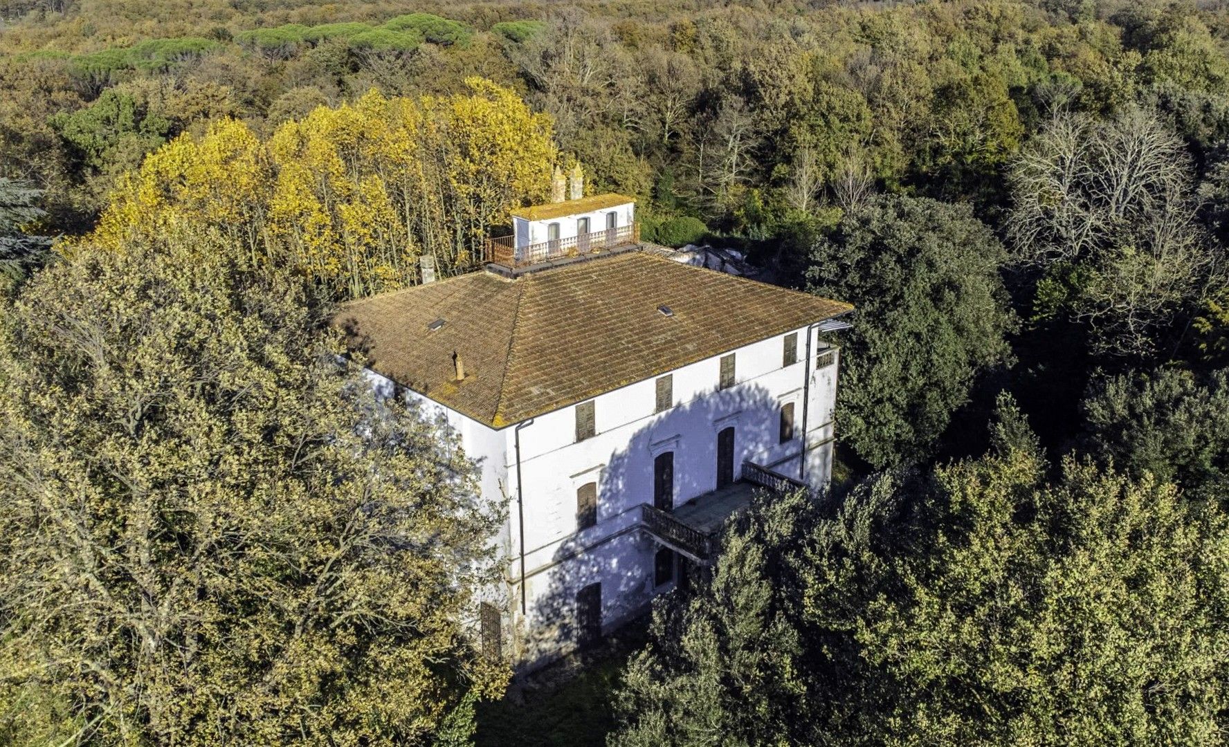 Photos Investissement immobilier en Toscane : ancienne villa, 20 hectares