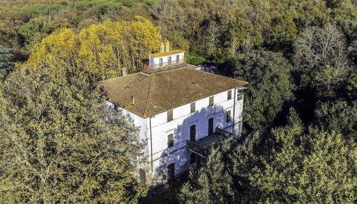 Villa historique Pontedera 5