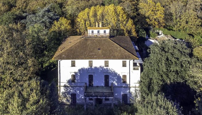 Villa historique Pontedera 3