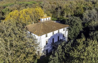 Villa historique à vendre Pontedera, Toscane, Image 5/17