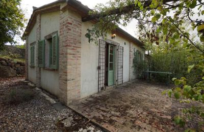 Ferme à vendre 06010 Monte Santa Maria Tiberina, Ombrie, Image 45/50