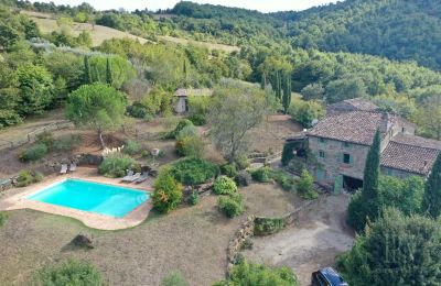 Ferme à vendre 06010 Monte Santa Maria Tiberina, Ombrie, Image 6/50