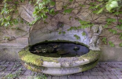 Historische villa te koop Vernaison, Auvergne-Rhône-Alpes, Foto 16/29