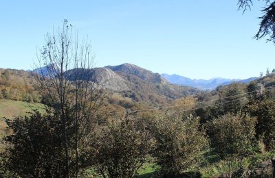 Manoir à vendre Parres, Asturies, Vue