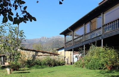 Manoir à vendre Parres, Asturies, Jardin