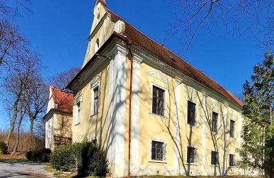 Château à vendre Plzeňský kraj, okres Klatovy, Klatovy, Plzeňský kraj, Vue latérale