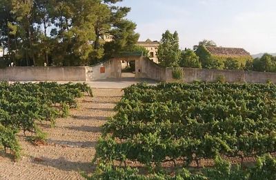 Château à vendre Santa Oliva, Catalogne, Image 6/17