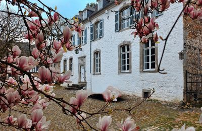 Château à vendre Astenet, Wallonie, Image 11/22