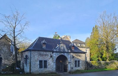 Château à vendre Astenet, Wallonie, Image 2/22