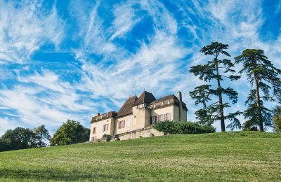 Château à vendre Monségur, Nouvelle-Aquitaine, Image 16/22