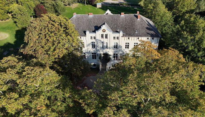 Château à vendre Mecklembourg-Poméranie-Occidentale,  Allemagne